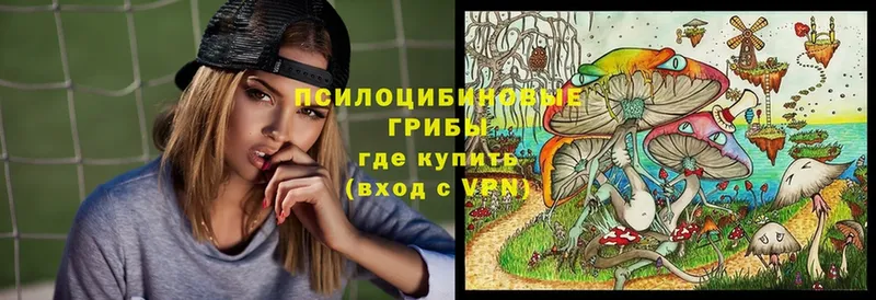 Галлюциногенные грибы ЛСД  Ковылкино 